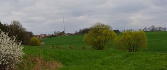 Hier soll das neue Baugebiet entstehen. CSU und WBH setzten dieses durch.